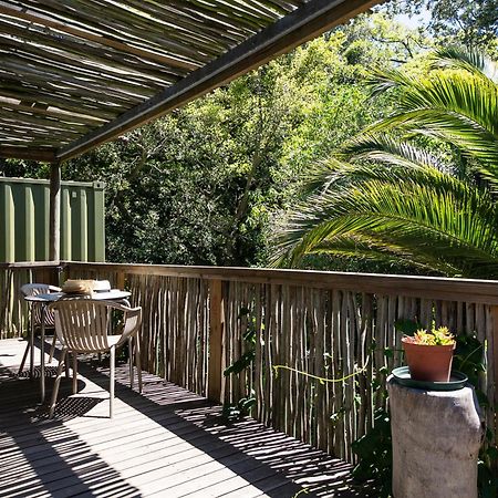Camps Bay Forest Pods Le Cap Extérieur photo