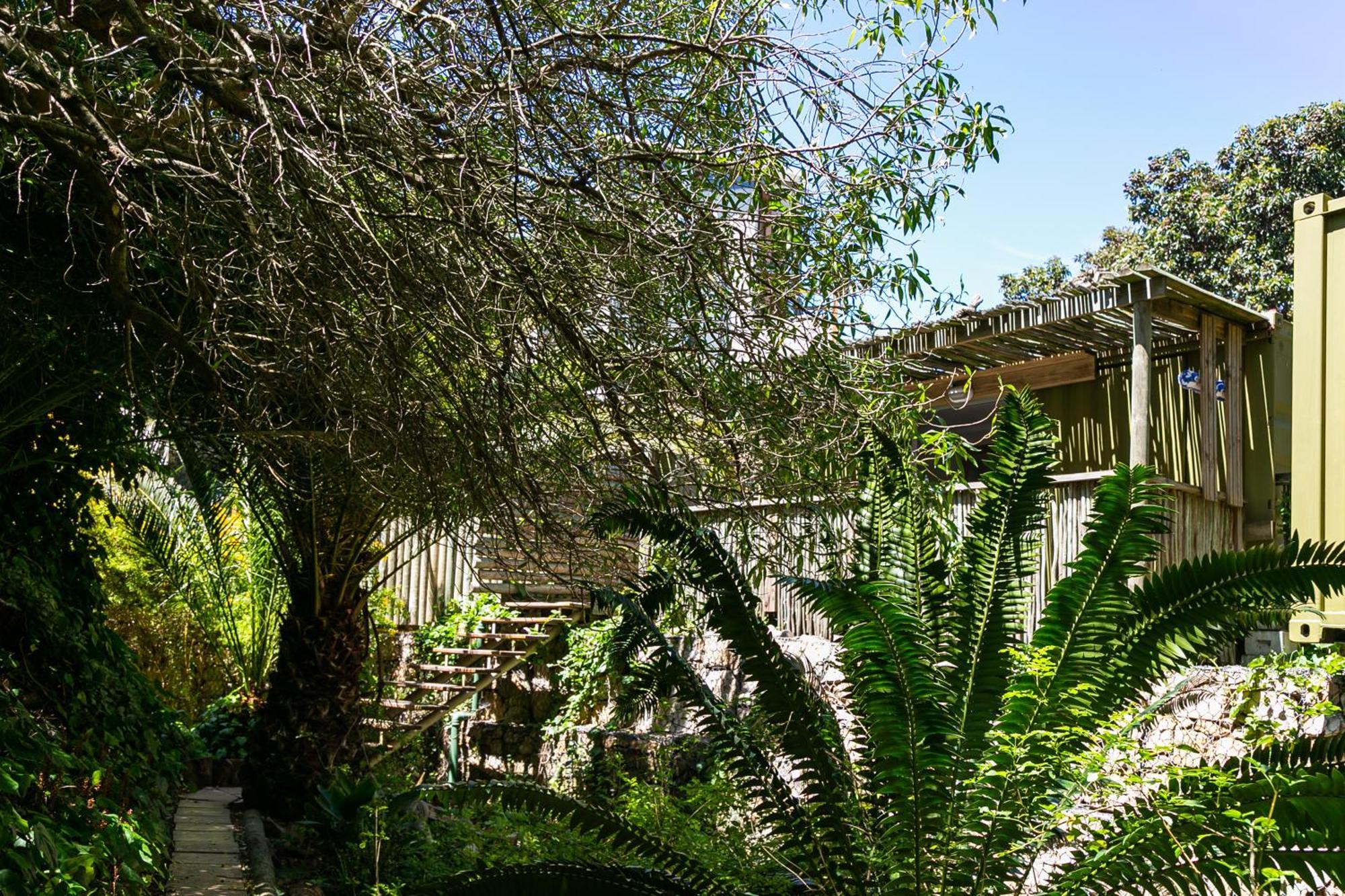 Camps Bay Forest Pods Le Cap Extérieur photo
